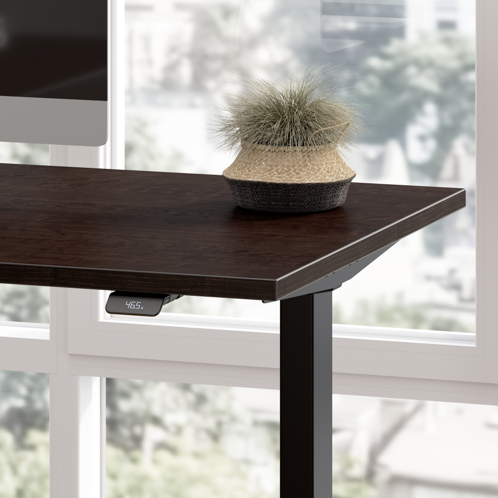 48W x 24D Height Adjustable Standing Desk