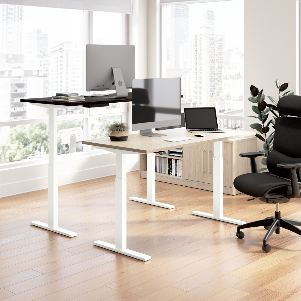 48W x 24D Height Adjustable Standing Desk