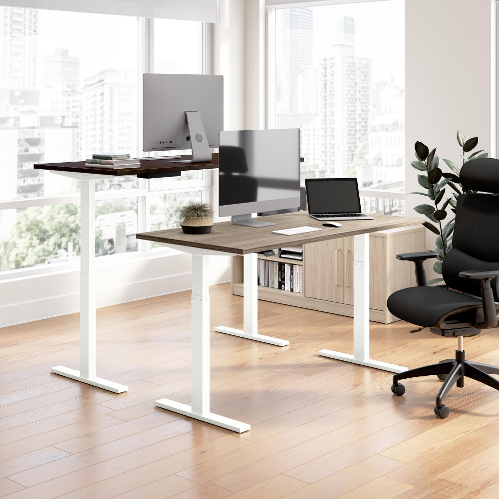 48W x 24D Height Adjustable Standing Desk