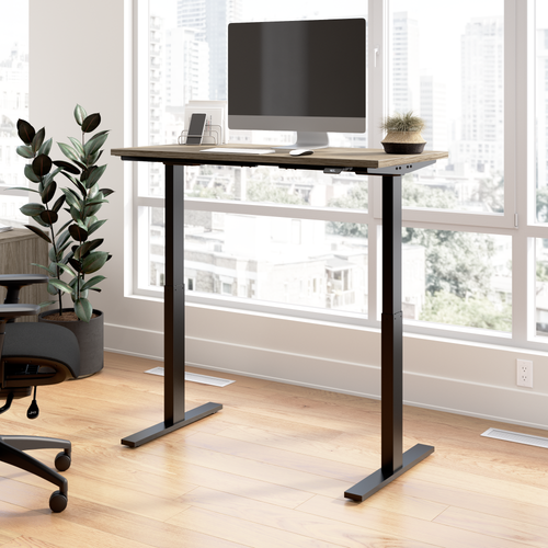 48W x 24D Height Adjustable Standing Desk