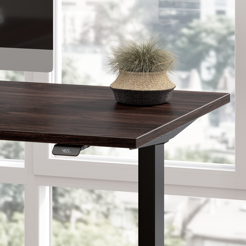 48W x 24D Height Adjustable Standing Desk