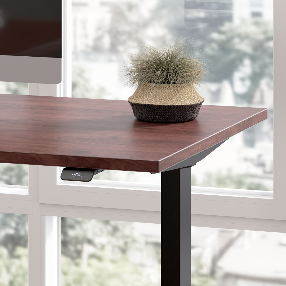 60W x 30D Height Adjustable Standing Desk