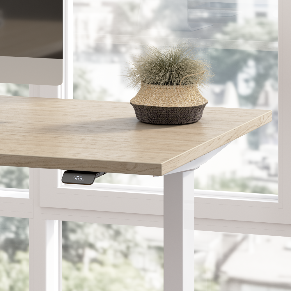 Move 60 Series 48W x 24D Electric Height Adjustable Standing Desk